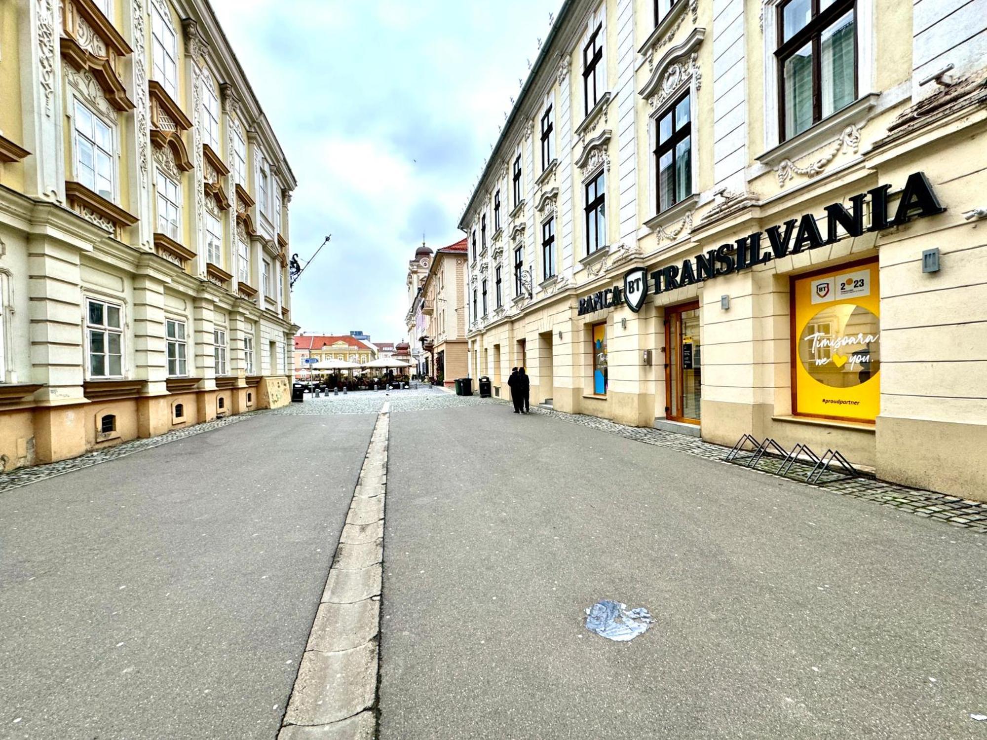 Апартаменти Blue Nest Тімішоара Екстер'єр фото